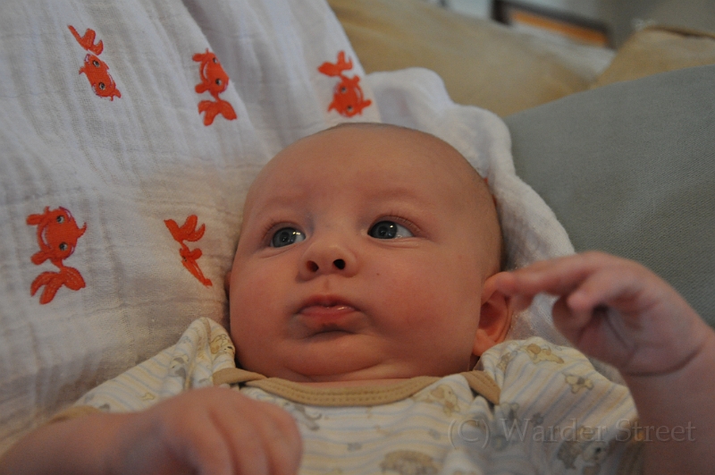 William's Eleventh Week 41.jpg